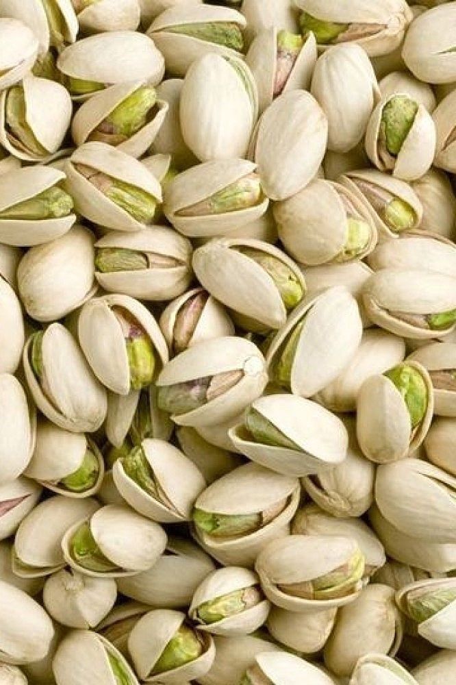 Pistachio