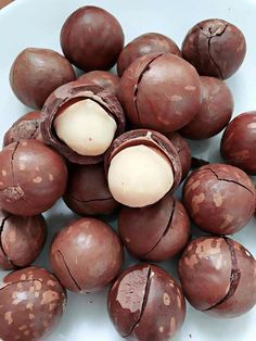nuts
