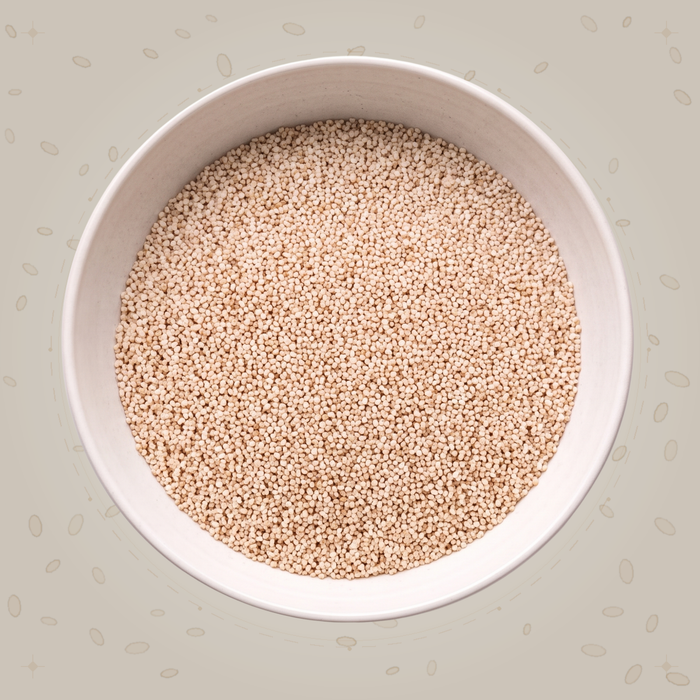 Poppy Seeds